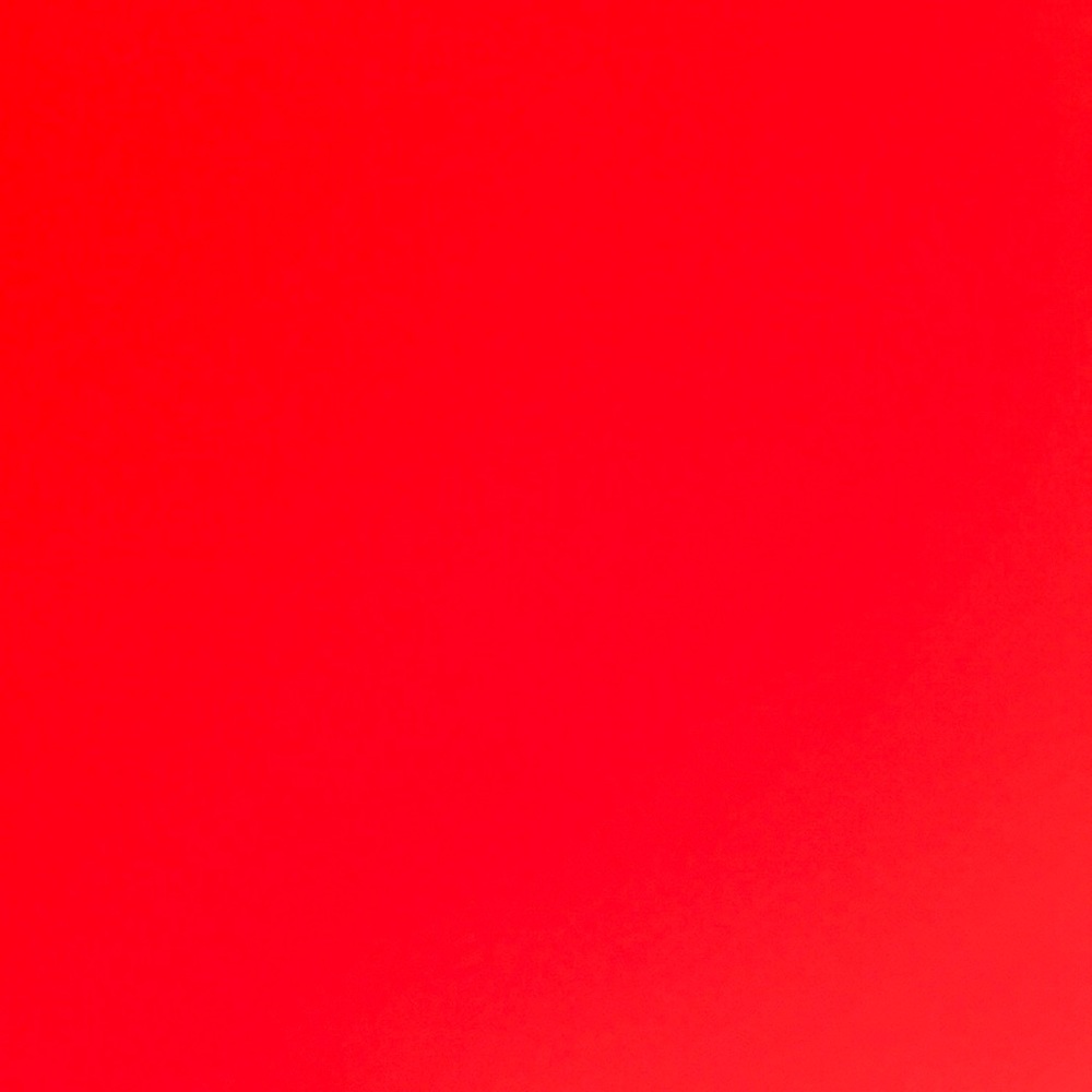 Meet your Posher, Gracie